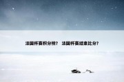法国杯赛积分榜？ 法国杯赛结束比分？