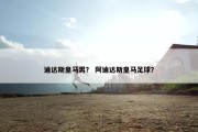 迪达斯皇马男？ 阿迪达斯皇马足球？