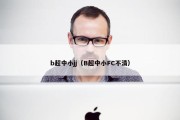 b超中小jj（B超中小FC不清）
