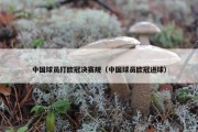 中国球员打欧冠决赛规（中国球员欧冠进球）