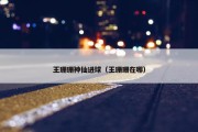 王珊珊神仙进球（王珊珊在哪）