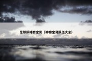 足球队神奇宝贝（神奇宝贝队伍大全）