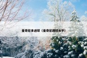 曼奇尼多进球（曼奇尼踢球水平）