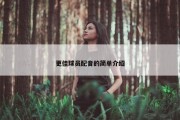 更佳球员配音的简单介绍
