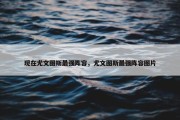 现在尤文图斯最强阵容，尤文图斯最强阵容图片