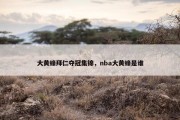 大黄蜂拜仁夺冠集锦，nba大黄蜂是谁