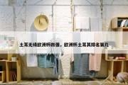 土耳无缘欧洲杯四强，欧洲杯土耳其排名第几