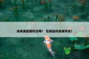 南美英超版权在哪？ 在英超的南美球员？
