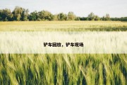 铲车回放，铲车现场