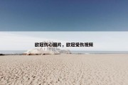 欧冠伤心图片，欧冠受伤视频
