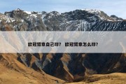 欧冠臂章自己印？ 欧冠臂章怎么印？