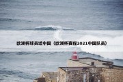 欧洲杯球员话中国（欧洲杯赛程2021中国队员）