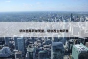 切尔西阵萨尔茨堡，切尔西主帅萨里