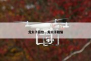 龙太子回放，龙太子剧情