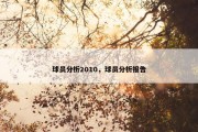 球员分析2010，球员分析报告
