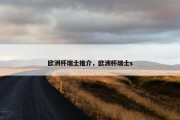 欧洲杯瑞士推介，欧洲杯瑞士s