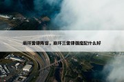 崩坏雷律阵容，崩坏三雷律强度配什么好
