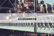 duilia球员的简单介绍