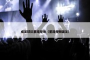 成足球队董路现场（董路视频国足）