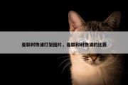 曼联利物浦打架图片，曼联和利物浦的比赛