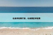 北美季后赛打架，北美赛区季后赛