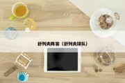舒列夫阵容（舒列夫球队）