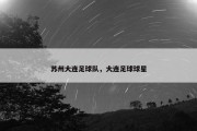 苏州大连足球队，大连足球球星