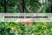 美国城市职业球队有哪些（美国nba大城市球队有哪些）