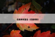 巴西用球直径（巴西球形）