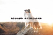 杨宇精彩进球？ 杨宇足球运动员微博？