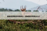 曼城足球球衣号码多少（曼城球衣号码2021）