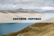 尤伯杯中国印度，尤伯杯中国战况