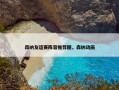 森纳友谊赛阵容推荐图，森纳动画