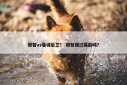 郑智vs曼城后卫？ 郑智踢过英超吗？