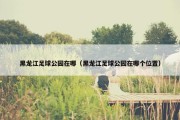 黑龙江足球公园在哪（黑龙江足球公园在哪个位置）
