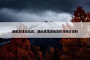 湖南足球运动员，湖南足球运动员陈涛简介资料
