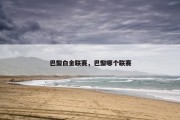巴黎白金联赛，巴黎哪个联赛