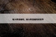 输入阵容编码，输入阵容编码的软件