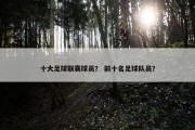 十大足球联赛球员？ 前十名足球队员？