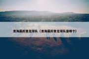 青海最厉害足球队（青海最厉害足球队是哪个）