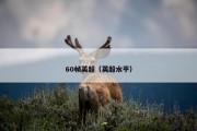 60帧英超（英超水平）