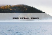足球孤儿利物浦小说，足球的孤儿