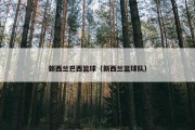 新西兰巴西篮球（新西兰篮球队）