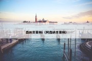 森纳贝莱林i（阿森纳贝莱林）