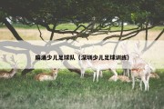 麻涌少儿足球队（深圳少儿足球训练）