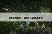浦东三林足球队？ 浦东三林足球队怎么样？