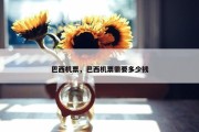 巴西机票，巴西机票需要多少钱