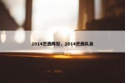 2014巴西阵型，2014巴西队员