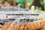 fm2017哪个球队预算多，fm2017开档必买球员