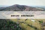 足球不火吗？ 足球在中国不流行？